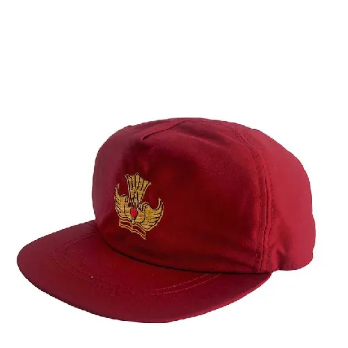 Topi Sekolah